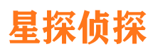 高淳私家调查公司